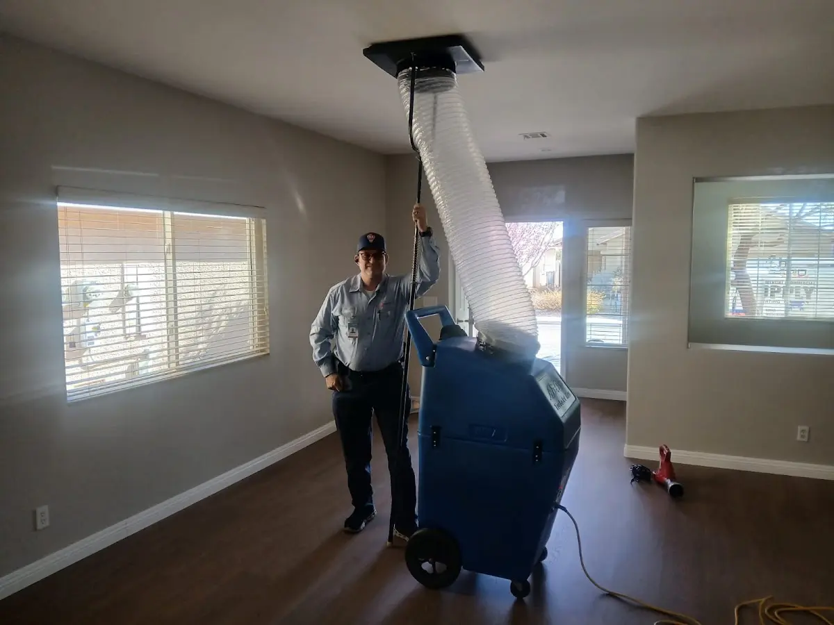 Professional Dryer Vent Cleaning work inside a Westphalia home